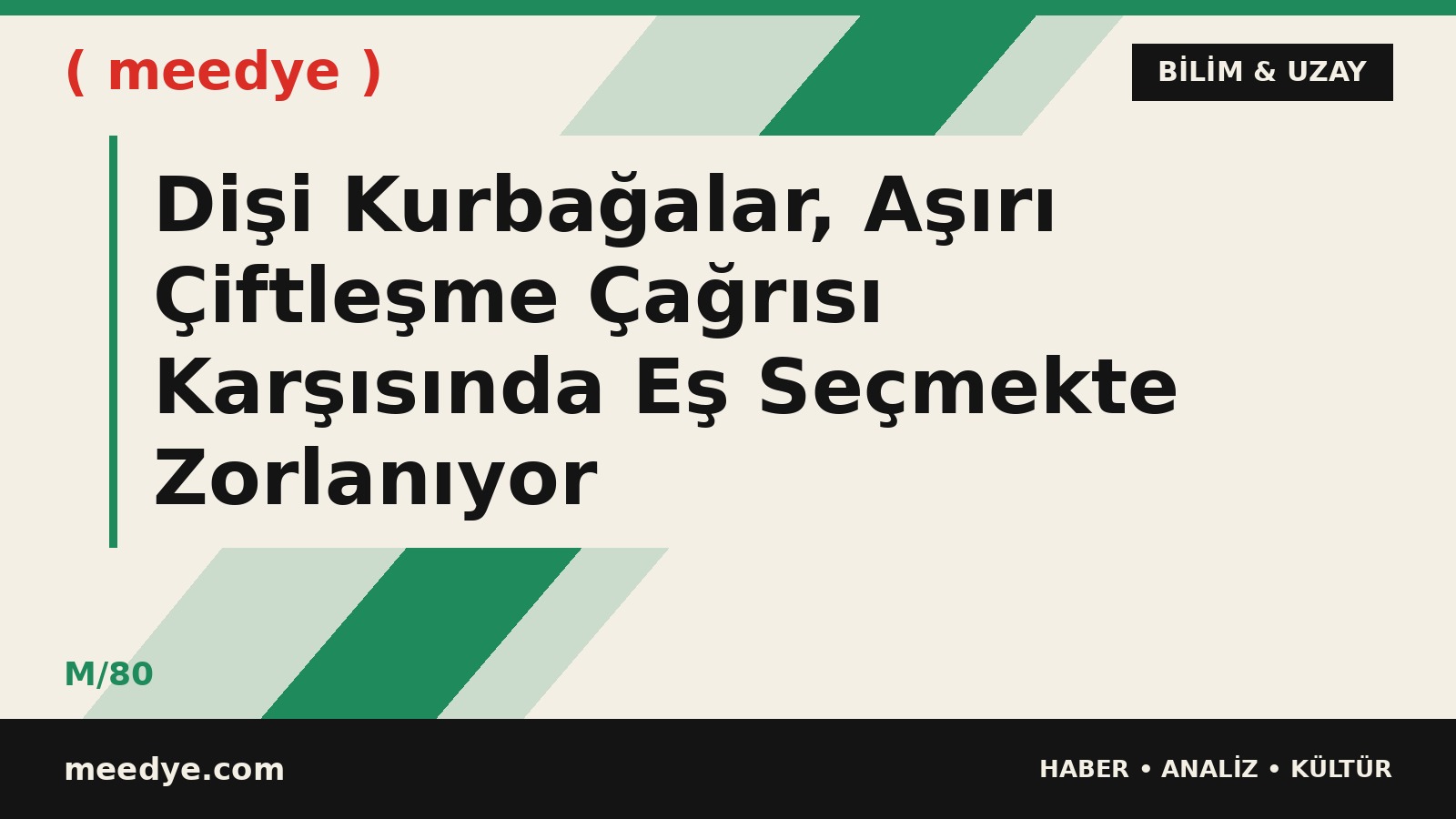 Dişi Kurbağalar, Aşırı Çiftleşme Çağrısı Karşısında Eş Seçmekte Zorlanıyor — Meedye editoryal görseli