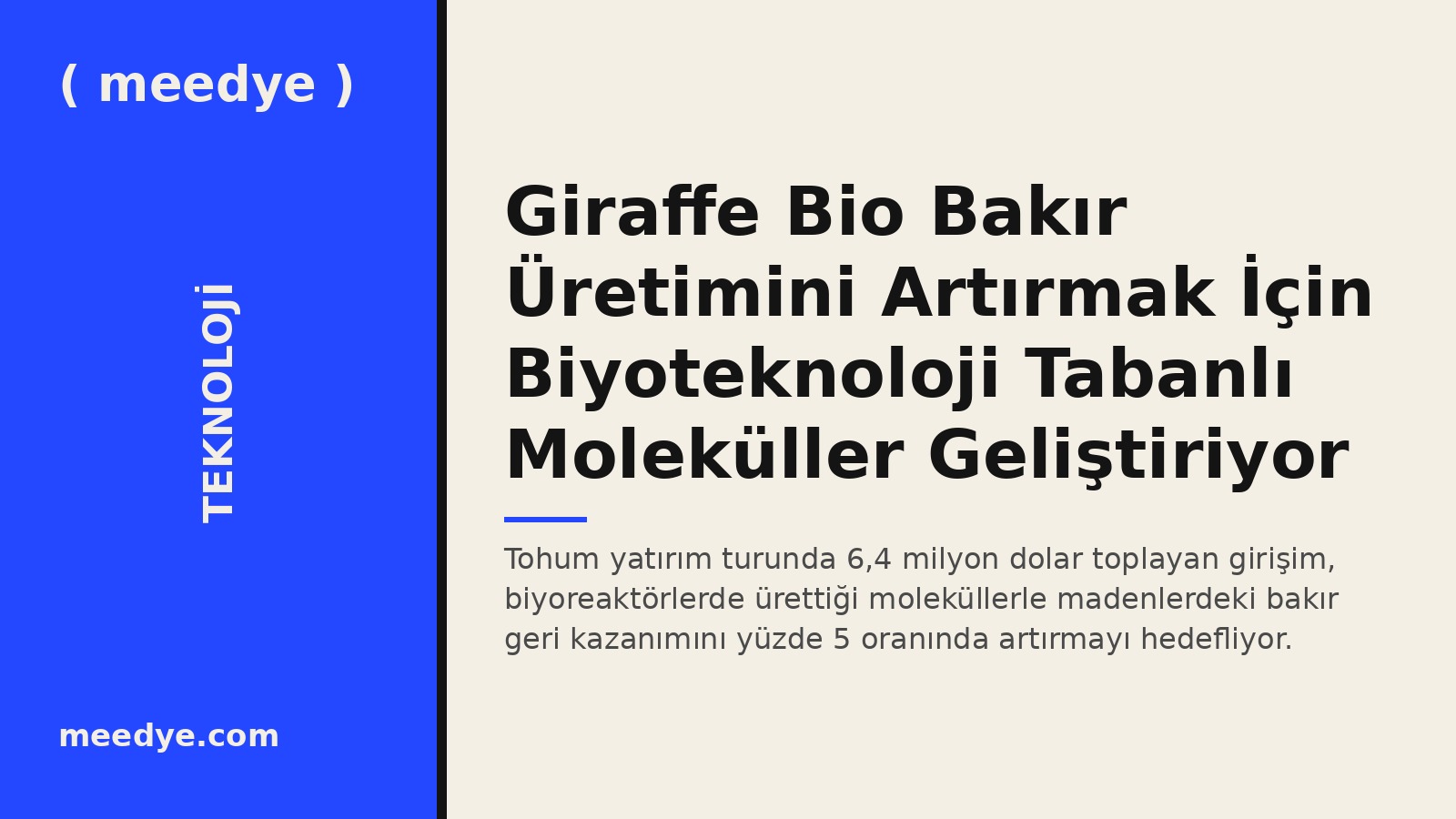 Giraffe Bio Bakır Üretimini Artırmak İçin Biyoteknoloji Tabanlı Moleküller Geliştiriyor — Meedye editoryal görseli