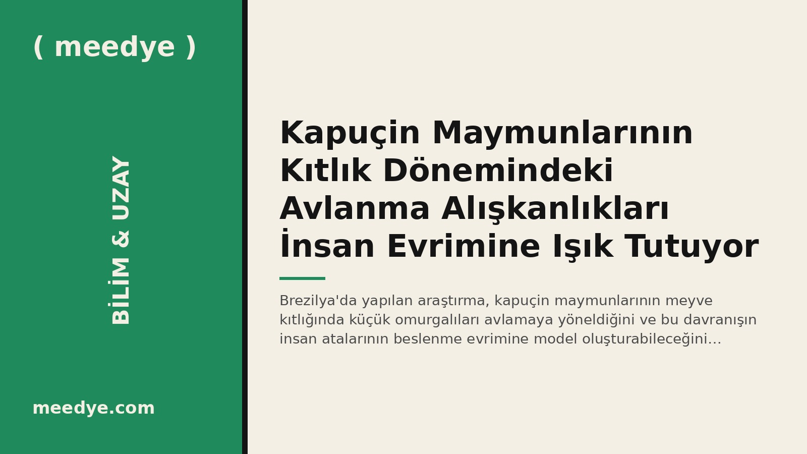Kapuçin Maymunlarının Kıtlık Dönemindeki Avlanma Alışkanlıkları İnsan Evrimine Işık Tutuyor — Meedye editoryal görseli