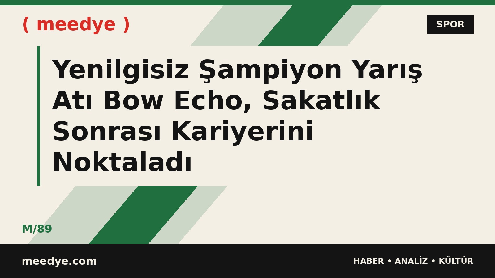 Yenilgisiz Şampiyon Yarış Atı Bow Echo, Sakatlık Sonrası Kariyerini Noktaladı — Meedye editoryal görseli