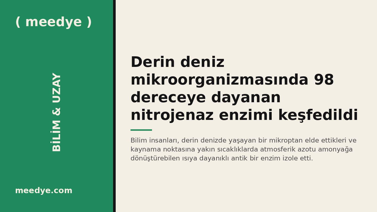 Derin deniz mikroorganizmasında 98 dereceye dayanan nitrojenaz enzimi keşfedildi — Meedye editoryal görseli