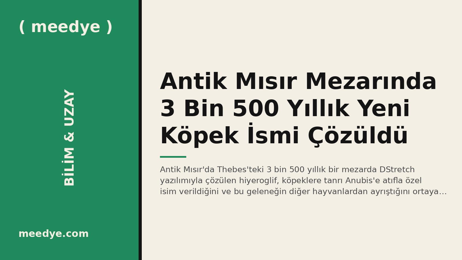 Antik Mısır Mezarında 3 Bin 500 Yıllık Yeni Köpek İsmi Çözüldü — Meedye editoryal görseli
