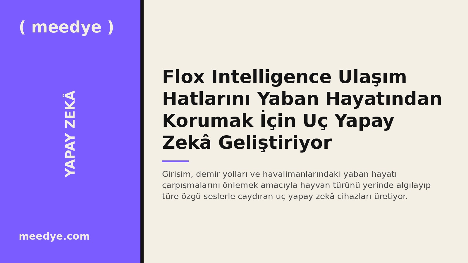 Flox Intelligence Ulaşım Hatlarını Yaban Hayatından Korumak İçin Uç Yapay Zekâ Geliştiriyor — Meedye editoryal görseli