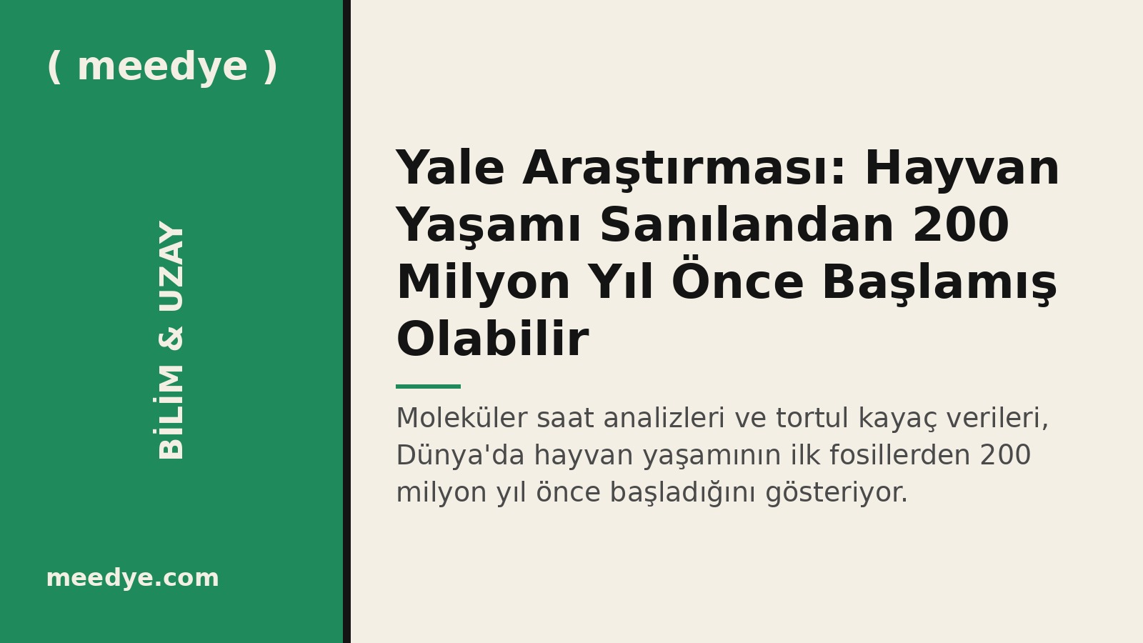 Yale Araştırması: Hayvan Yaşamı Sanılandan 200 Milyon Yıl Önce Başlamış Olabilir — Meedye editoryal görseli