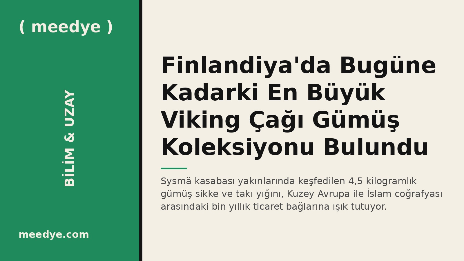 Finlandiya'da Bugüne Kadarki En Büyük Viking Çağı Gümüş Koleksiyonu Bulundu — Meedye editoryal görseli
