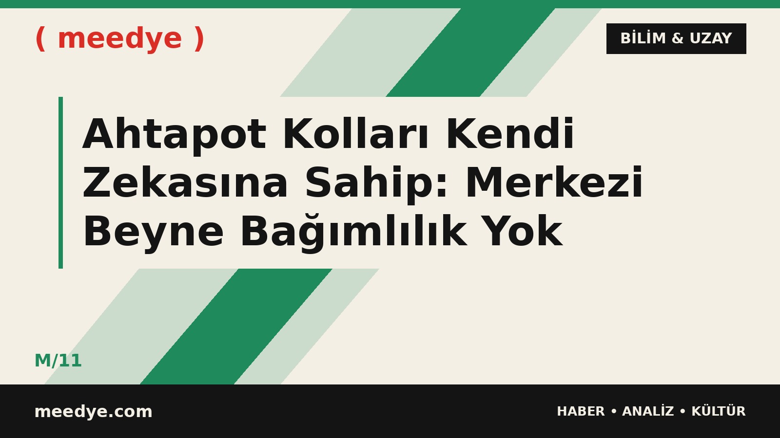 Ahtapot Kolları Kendi Zekasına Sahip: Merkezi Beyne Bağımlılık Yok — Meedye editoryal görseli