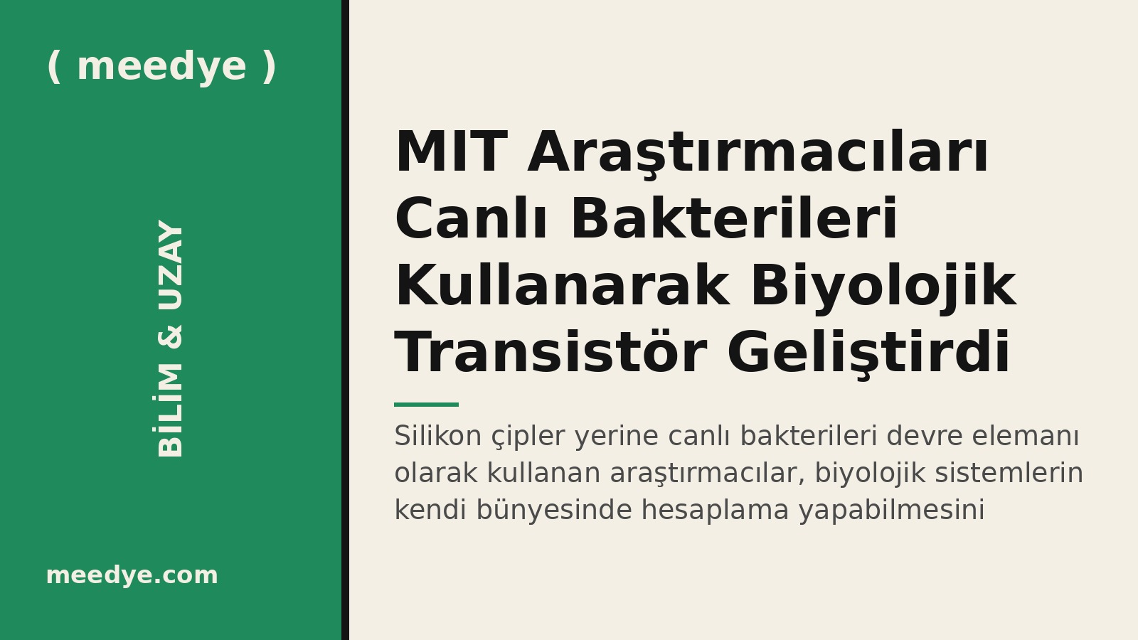 MIT Araştırmacıları Canlı Bakterileri Kullanarak Biyolojik Transistör Geliştirdi — Meedye editoryal görseli