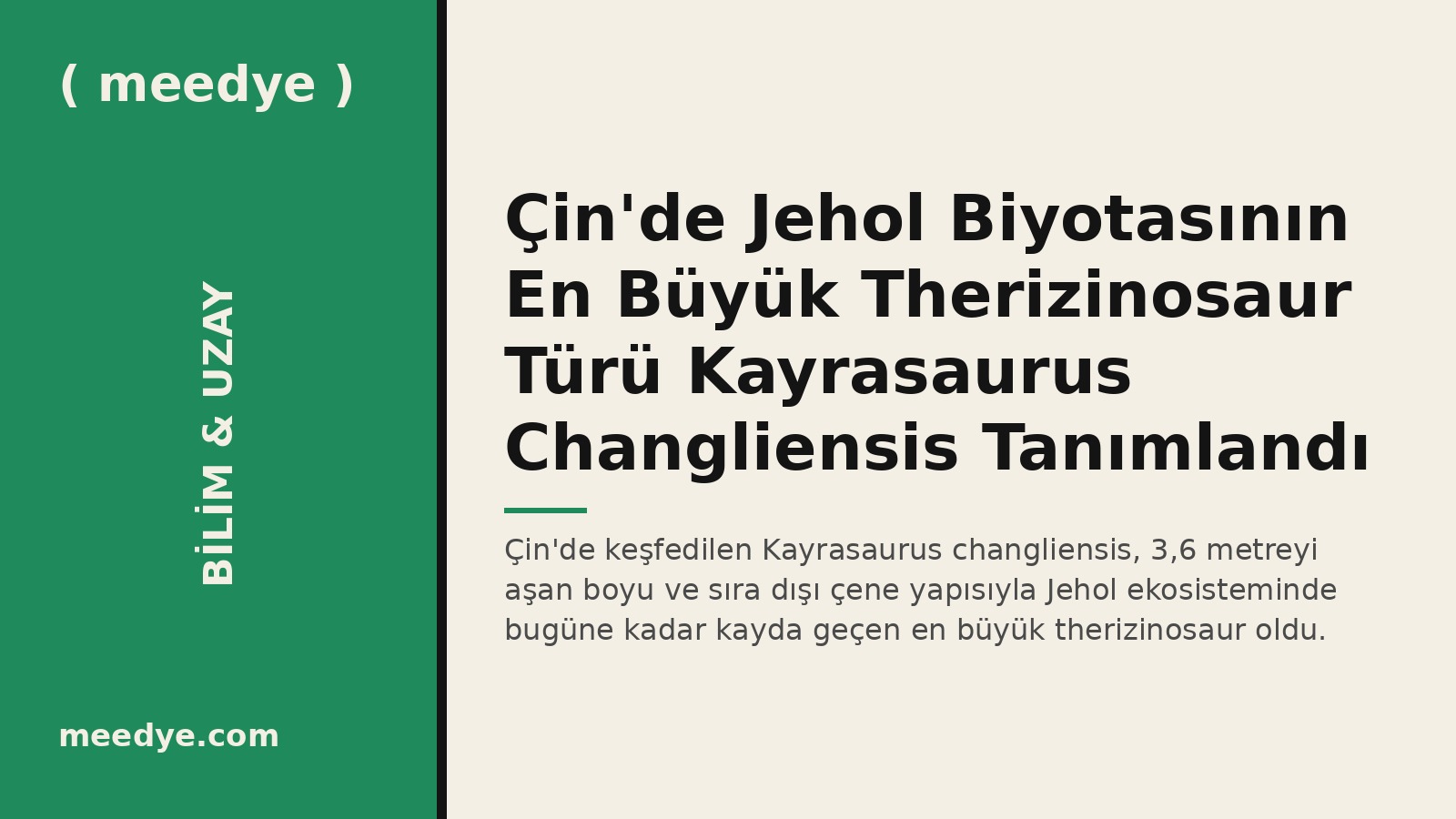 Çin'de Jehol Biyotasının En Büyük Therizinosaur Türü Kayrasaurus Changliensis Tanımlandı — Meedye editoryal görseli