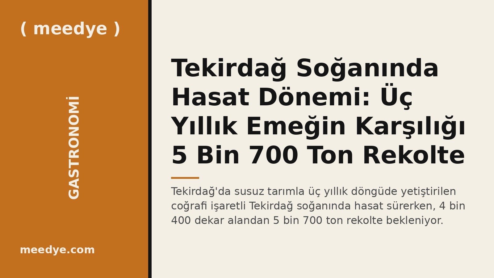 Tekirdağ Soğanında Hasat Dönemi: Üç Yıllık Emeğin Karşılığı 5 Bin 700 Ton Rekolte — Meedye editoryal görseli