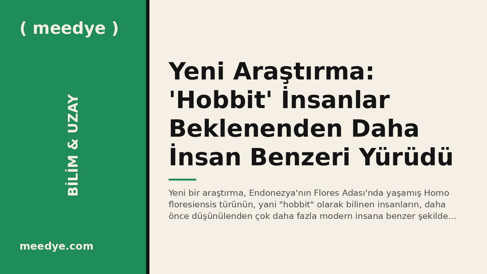 Yeni Araştırma: 'Hobbit' İnsanlar Beklenenden Daha İnsan Benzeri Yürüdü — Meedye editoryal görseli