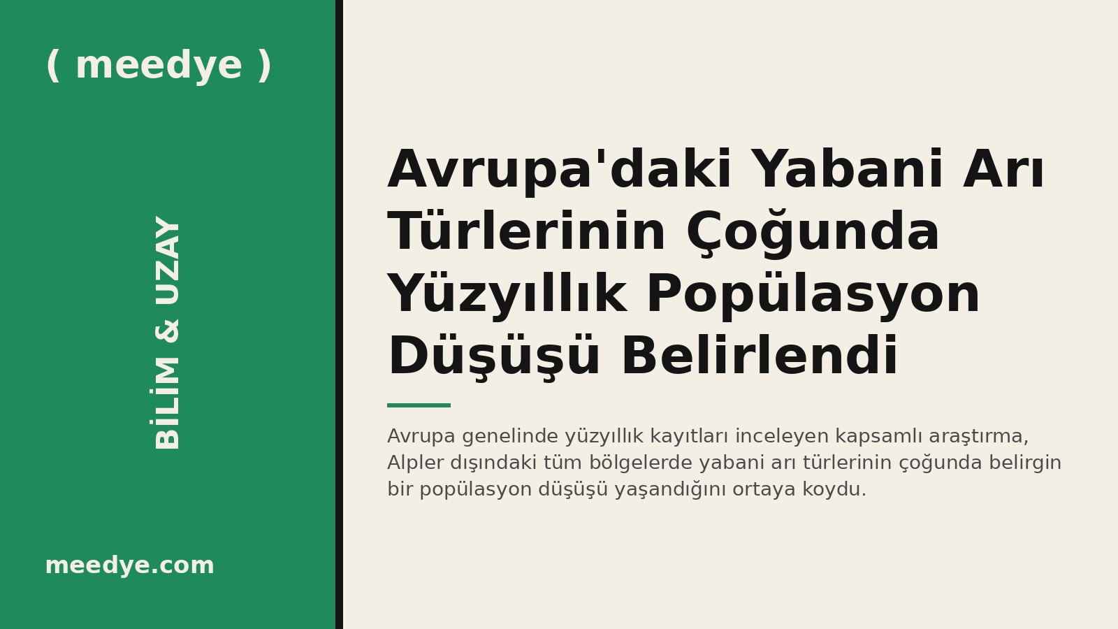Avrupa'daki Yabani Arı Türlerinin Çoğunda Yüzyıllık Popülasyon Düşüşü Belirlendi — Meedye editoryal görseli