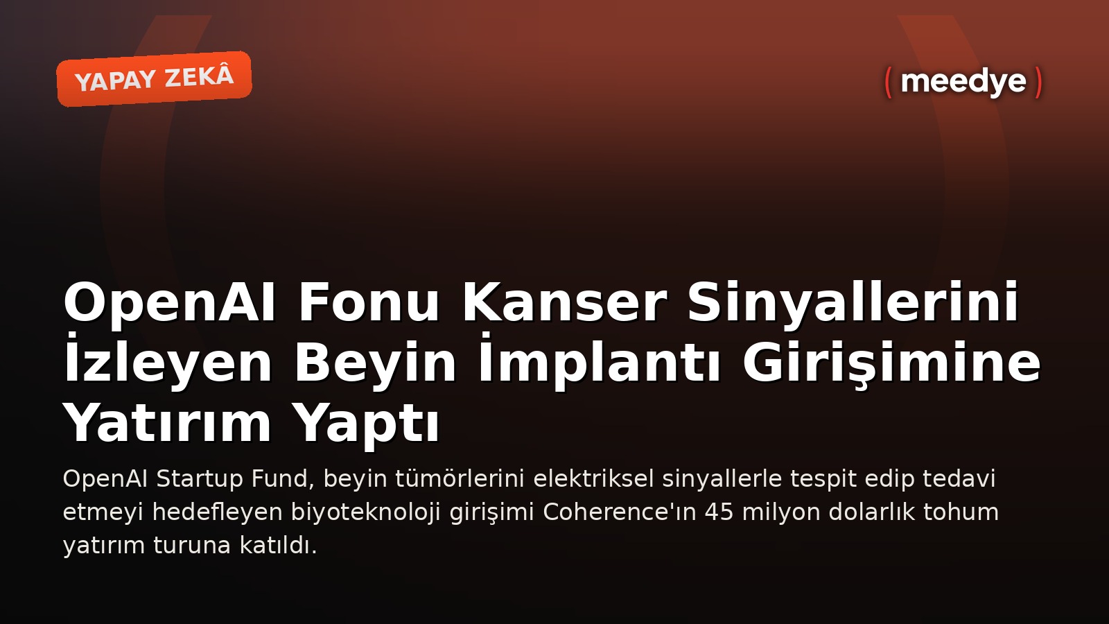 OpenAI Fonu Kanser Sinyallerini İzleyen Beyin İmplantı Girişimine Yatırım Yaptı — Meedye editoryal görseli