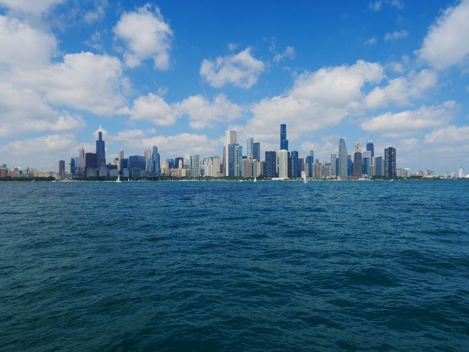 Kanada'daki Tema Parkından Gelen Dört Beluga Balinası Chicago Akvaryumu'na Ulaştı — Meedye editoryal görseli