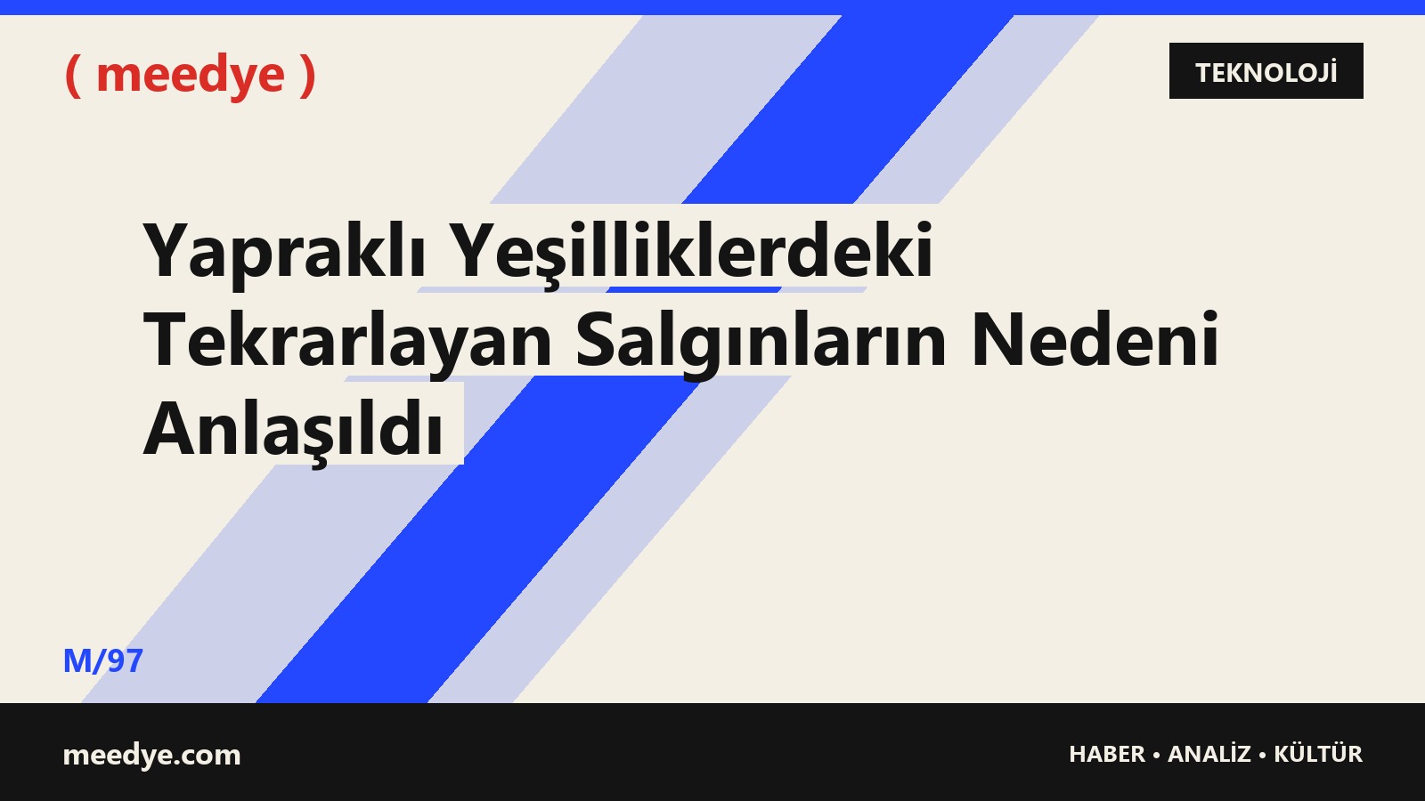 Yapraklı Yeşilliklerdeki Tekrarlayan Salgınların Nedeni Anlaşıldı — Meedye editoryal görseli