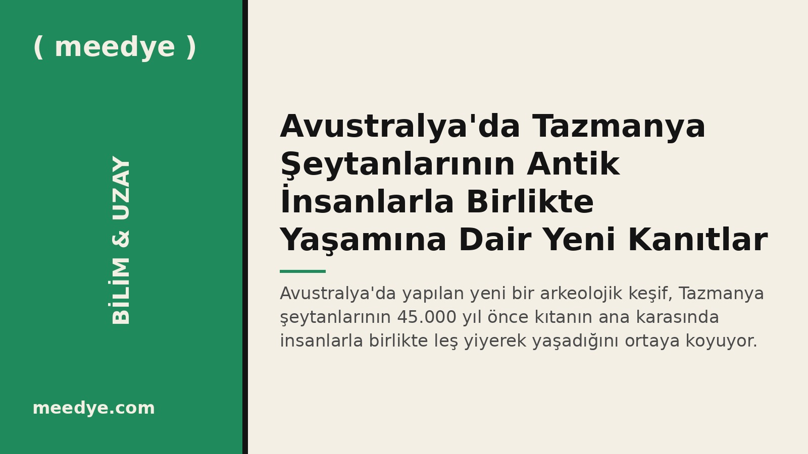 Avustralya'da Tazmanya Şeytanlarının Antik İnsanlarla Birlikte Yaşamına Dair Yeni Kanıtlar — Meedye editoryal görseli