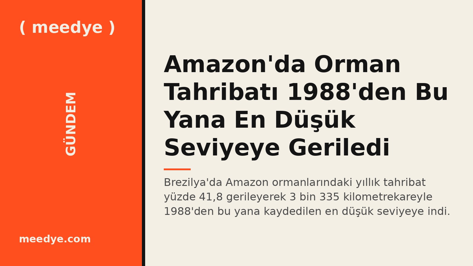 Amazon'da Orman Tahribatı 1988'den Bu Yana En Düşük Seviyeye Geriledi — Meedye editoryal görseli