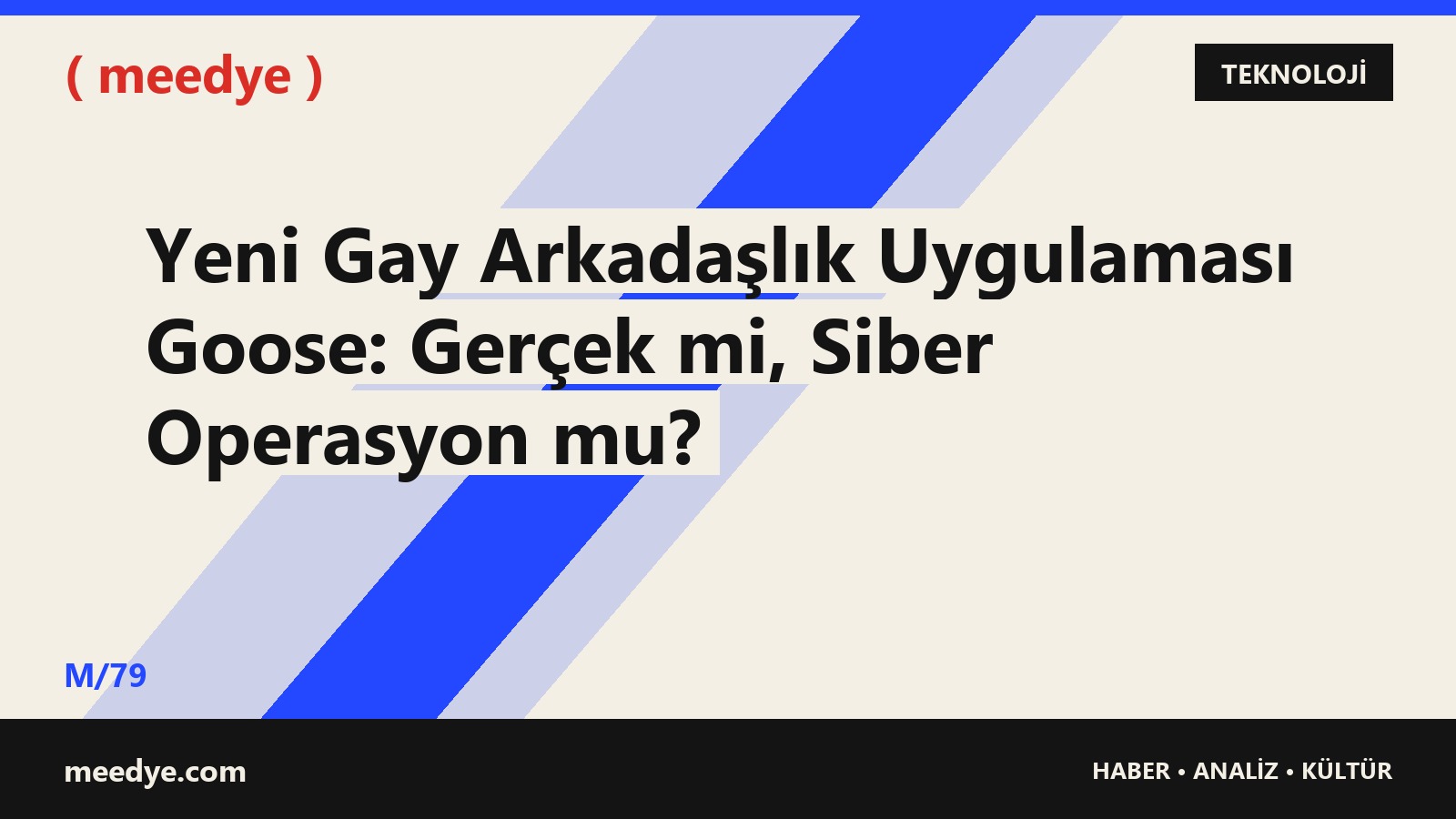 Yeni Gay Arkadaşlık Uygulaması Goose: Gerçek mi, Siber Operasyon mu? — Meedye editoryal görseli