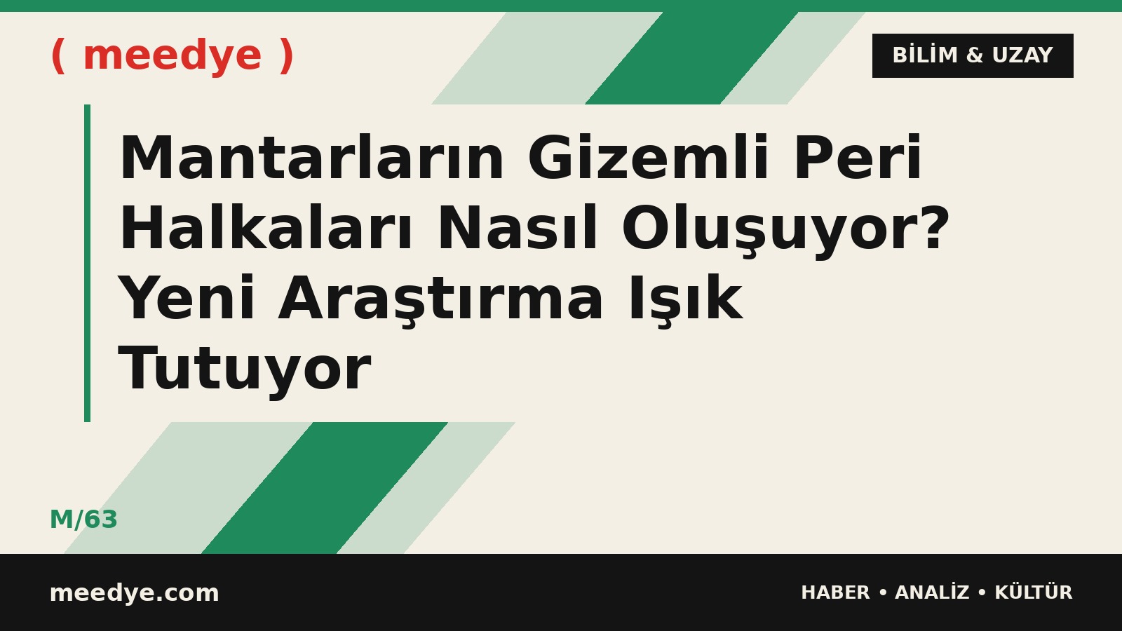 Mantarların Gizemli Peri Halkaları Nasıl Oluşuyor? Yeni Araştırma Işık Tutuyor — Meedye editoryal görseli