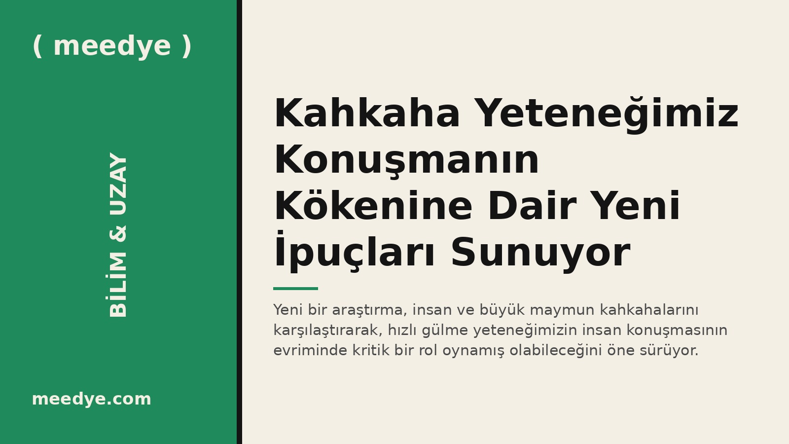 Kahkaha Yeteneğimiz Konuşmanın Kökenine Dair Yeni İpuçları Sunuyor — Meedye editoryal görseli