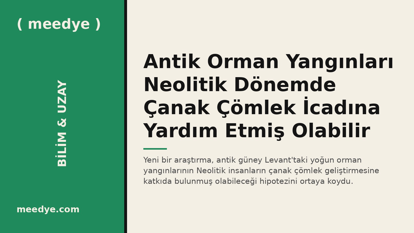 Antik Orman Yangınları Neolitik Dönemde Çanak Çömlek İcadına Yardım Etmiş Olabilir — Meedye editoryal görseli