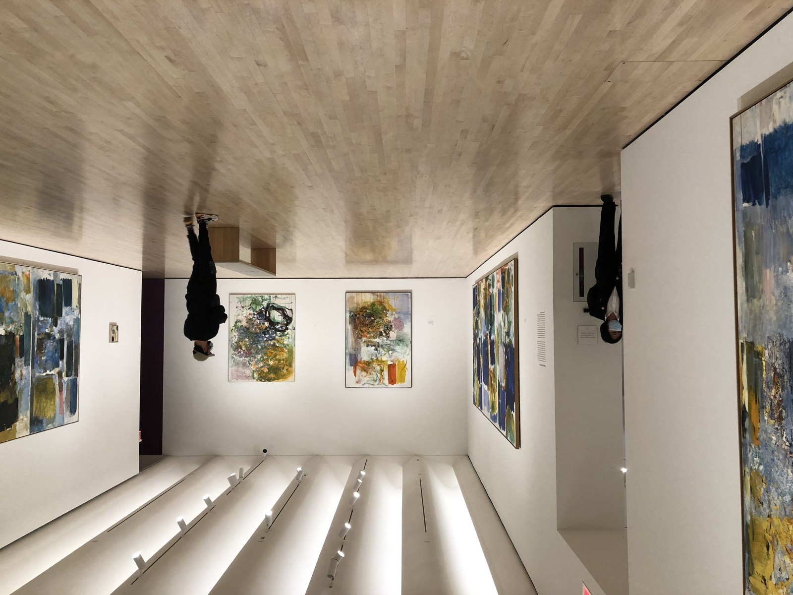Joan Mitchell Bursu'nu Kazanan 15 Sanatçı Duyuruldu — Meedye editoryal görseli