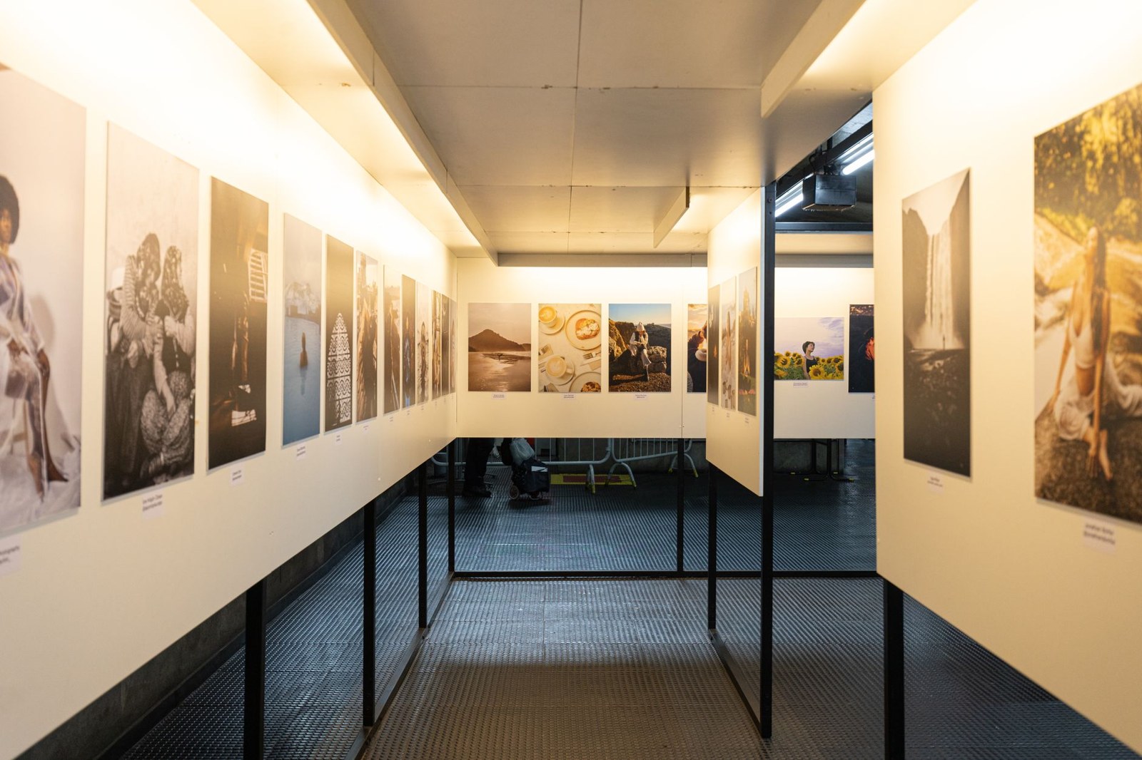 San Diego Sanat Müzesi, Mali Zorluklar Nedeniyle 11 Çalışanını İşten Çıkardı — Meedye editoryal görseli