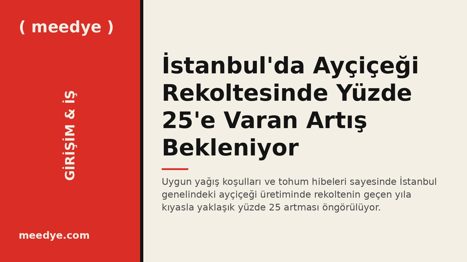 İstanbul'da Ayçiçeği Rekoltesinde Yüzde 25'e Varan Artış Bekleniyor — Meedye editoryal görseli